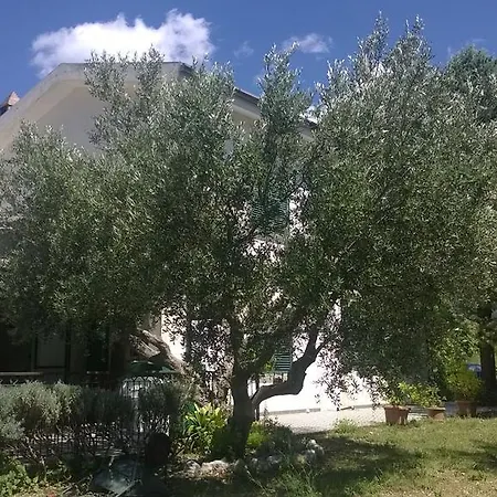 Bed and breakfast Eolo Morano Calabro